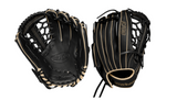 A700 12" 2024  Black/Blonde